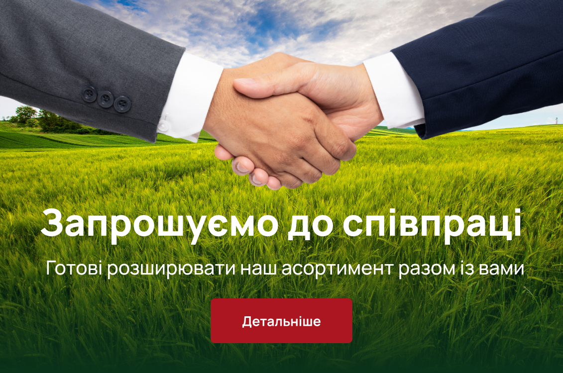 Описание изображения
